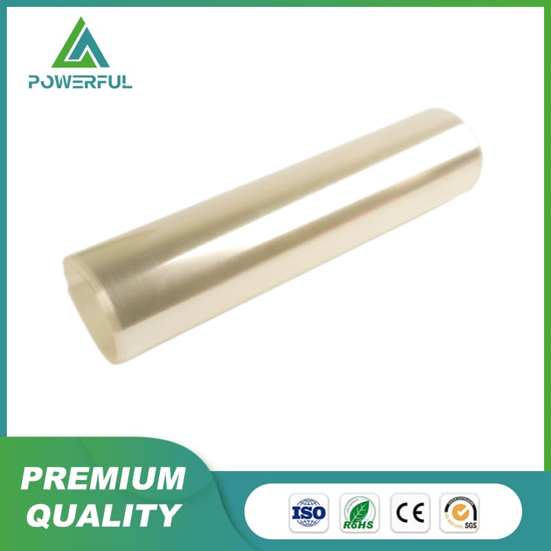 6020 Transparent Polyester Film/Mylar